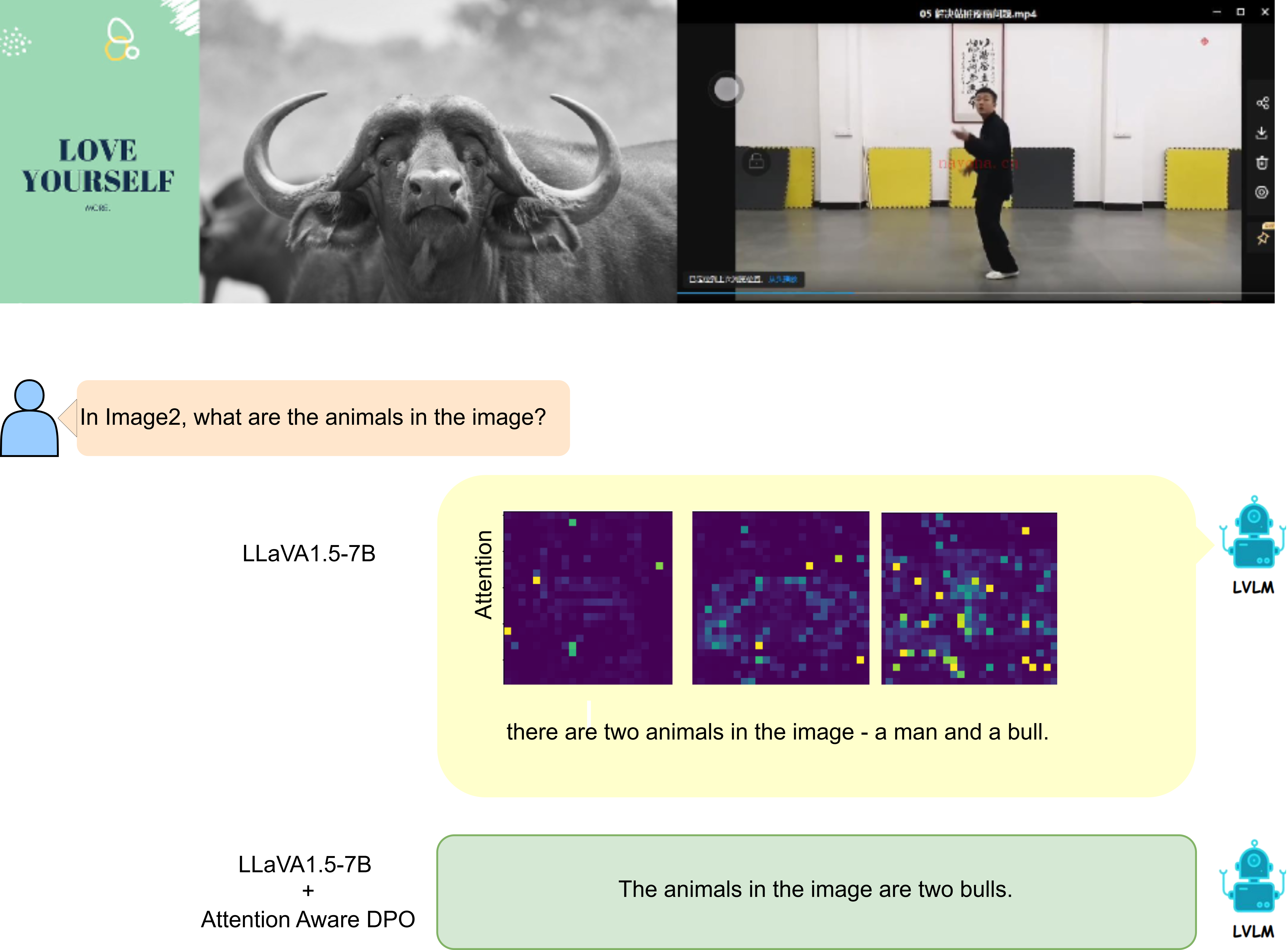 Figure 1: Multi-image hallucination example